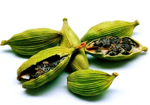 دانه هل سبز ممتاز 20 گرمی